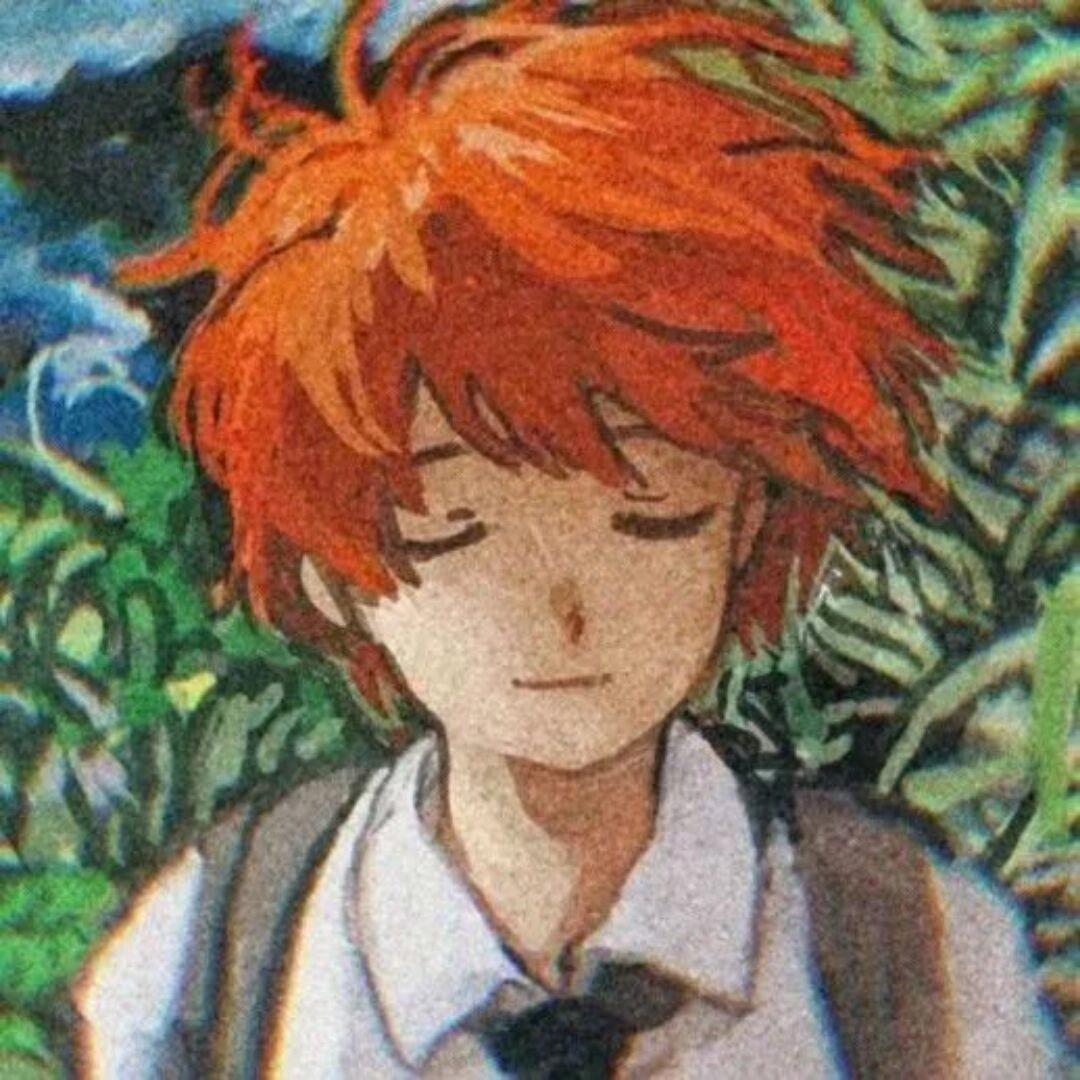 花猫