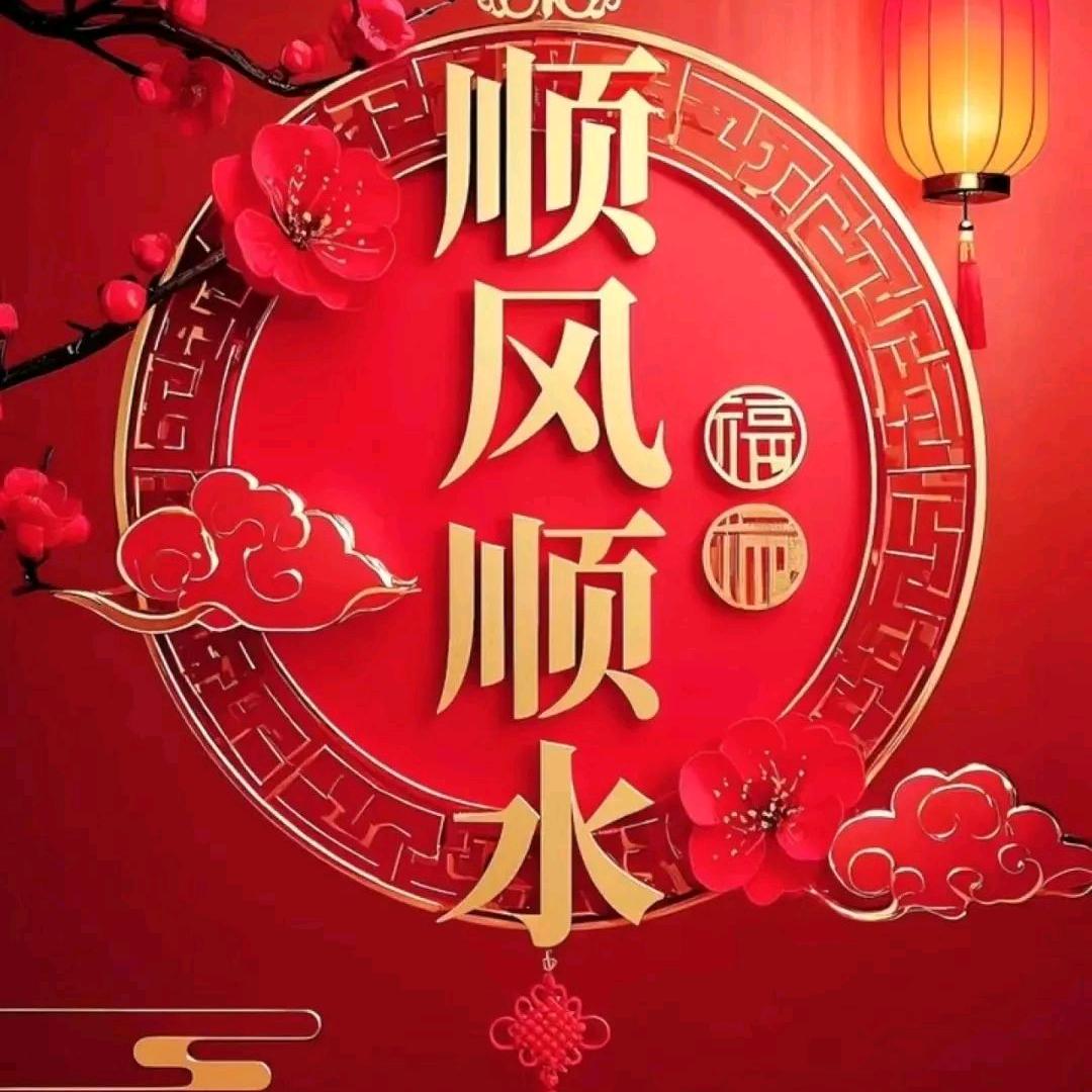 70后的老阿姨🌵