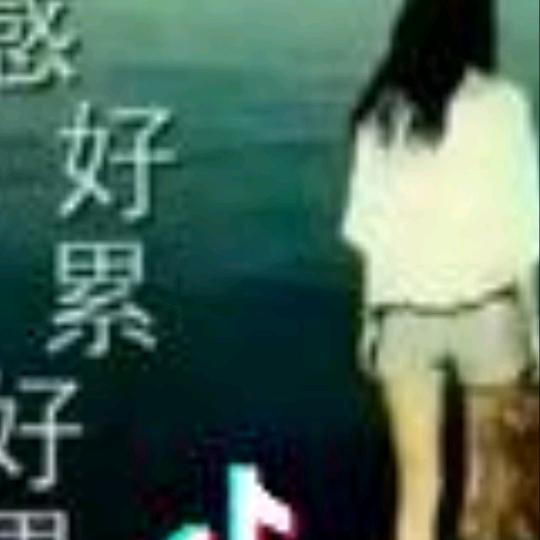 枫林听雨