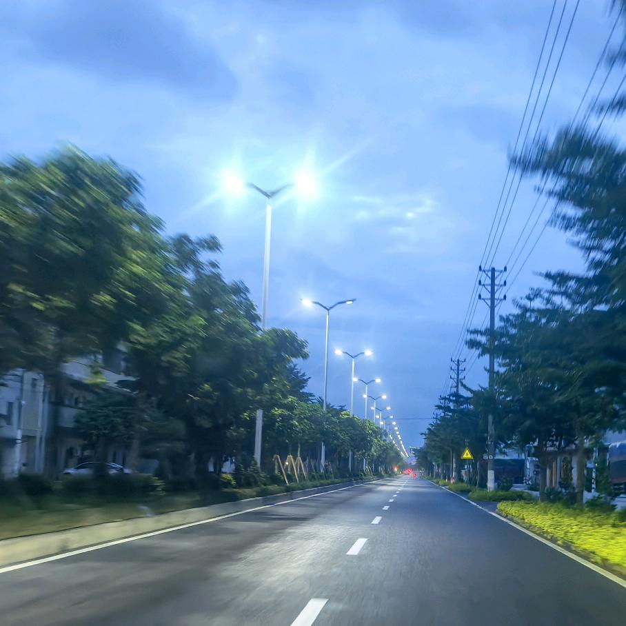 被遗忘的温柔