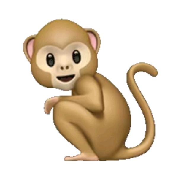 弘缘