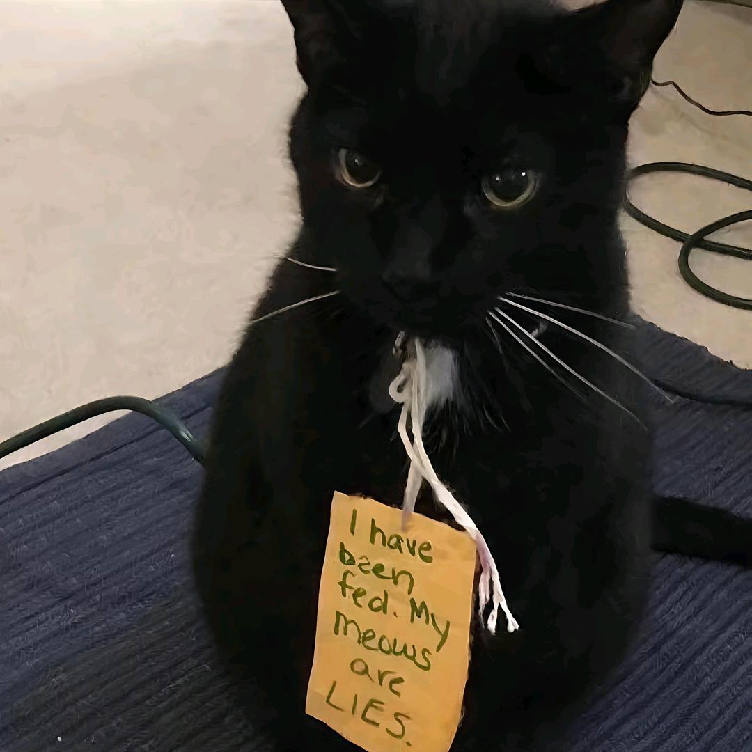 什么时候瘦回去