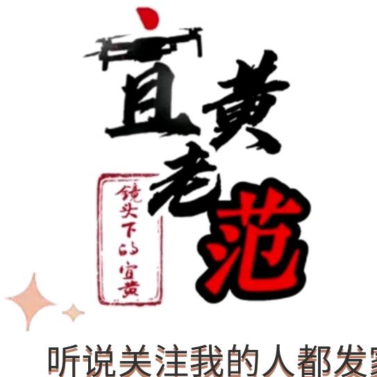 光头老范