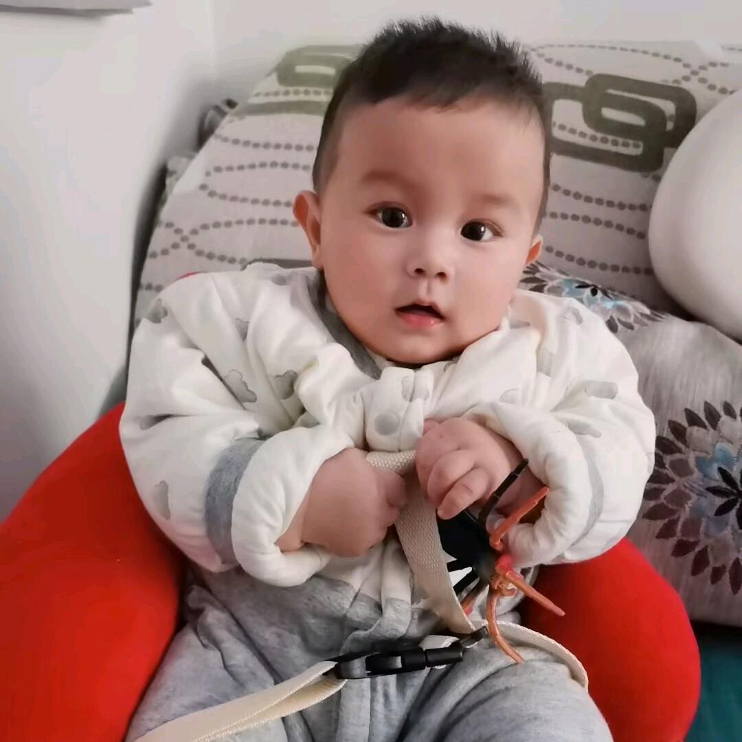 🍵小财月要爆爆