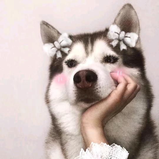 微微du