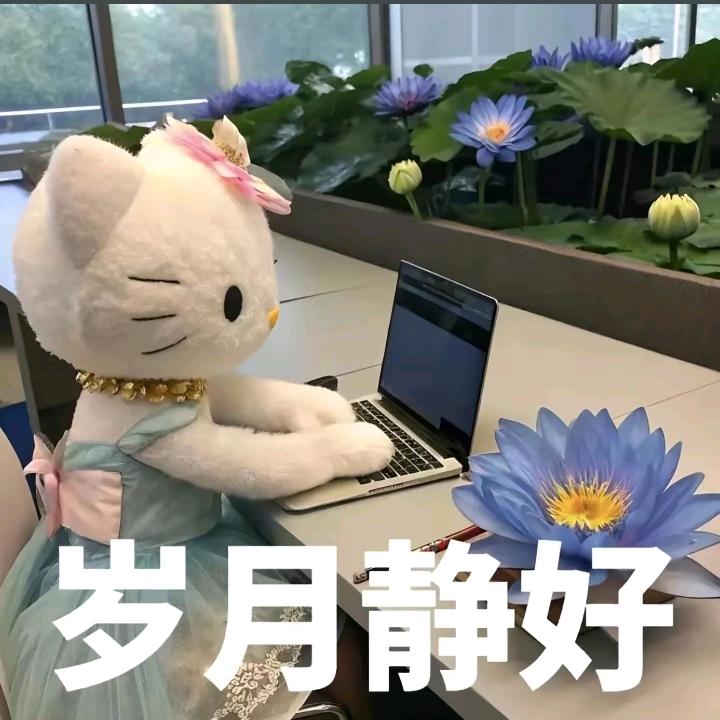 航行征程.精讲视频