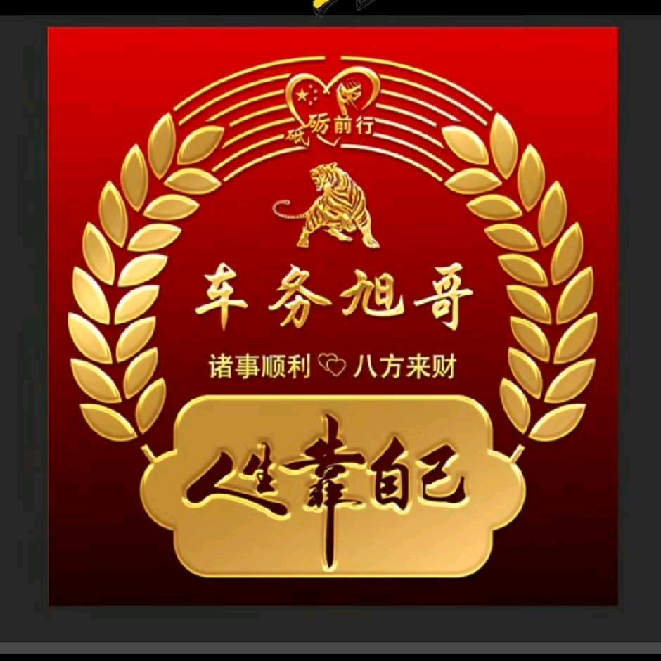 车乐派旭哥审车过户上牌（你身边的车管家）