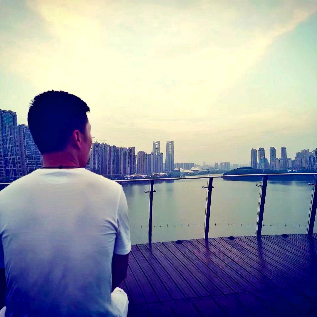 小杨哥同学