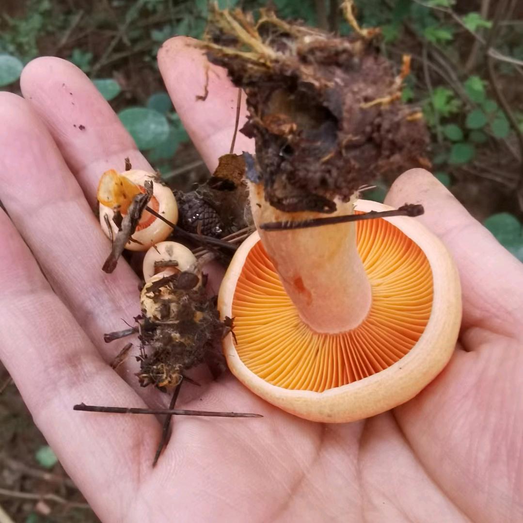 天意