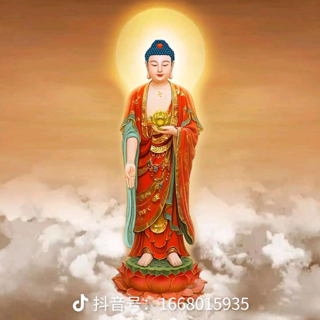 白哥