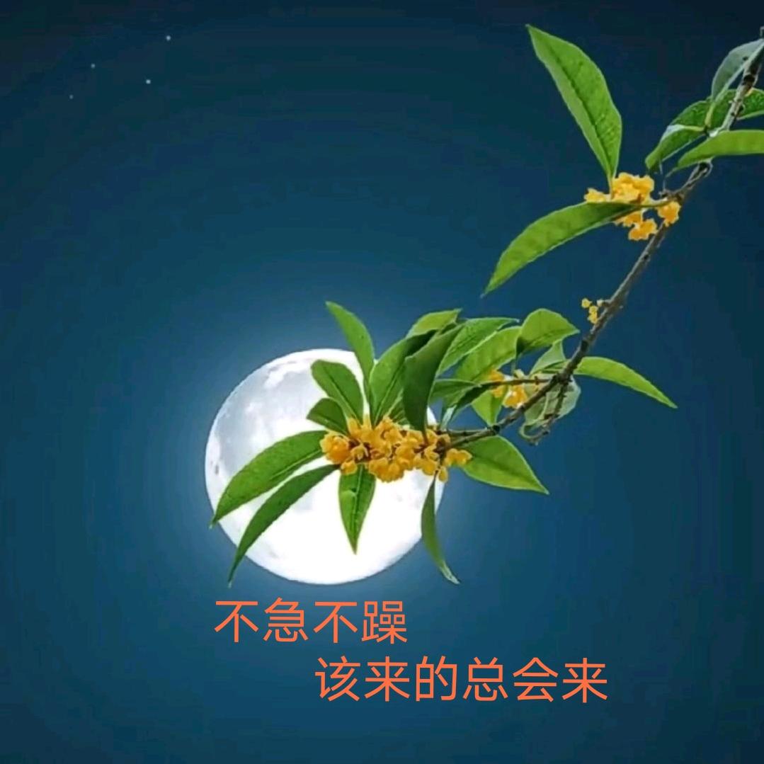 ～期待～（建房之路 ）