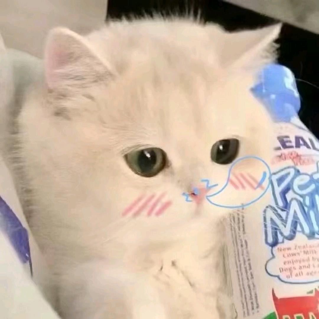 回观带
