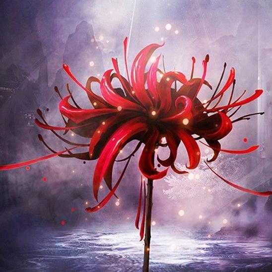 ৡ  㜂孞ꦿ᭄࿐惢爱ৡ