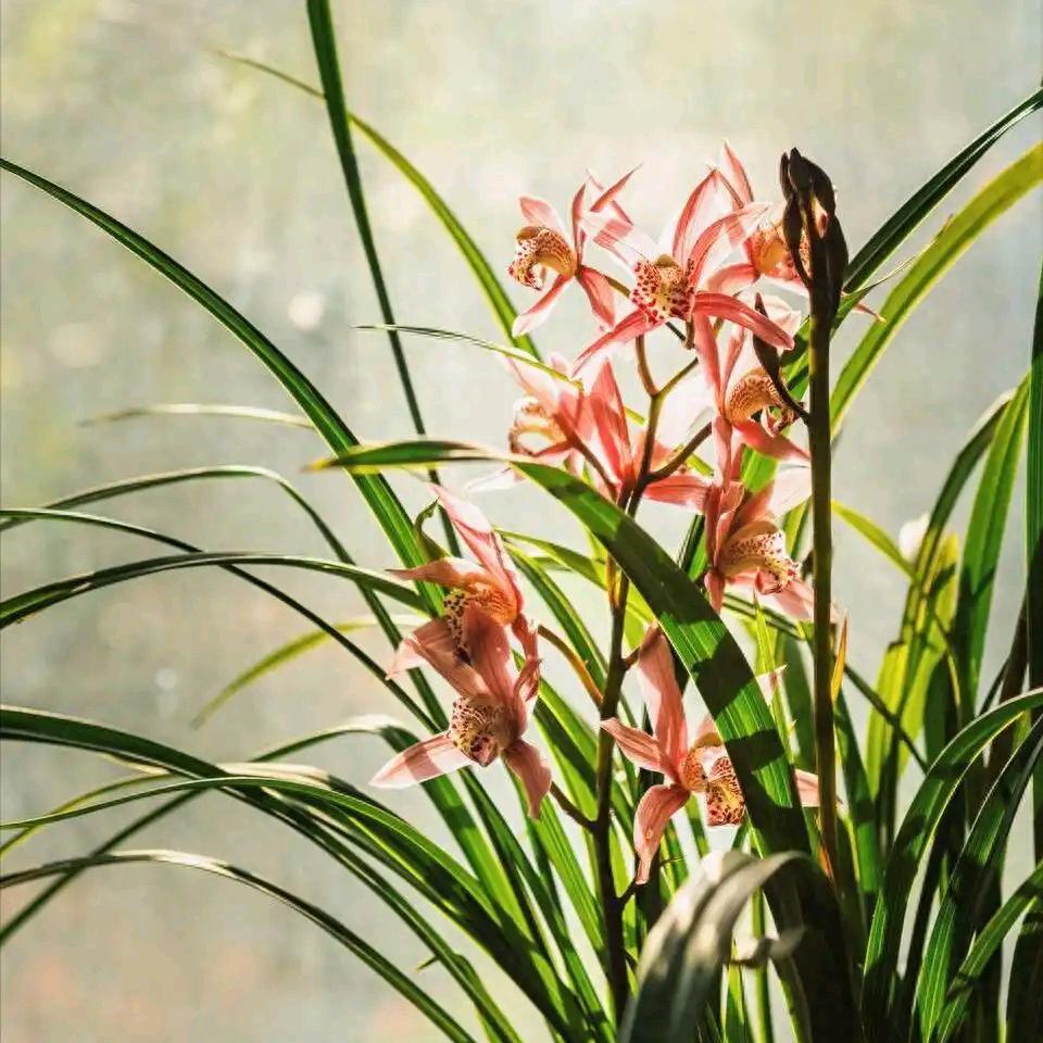 我的世界你曾来过