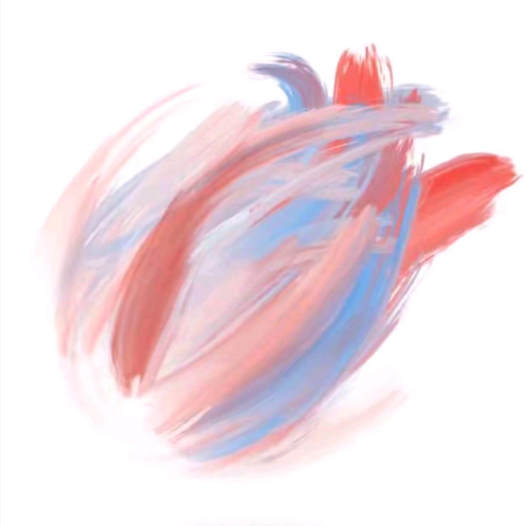 我爱饭米粒1005