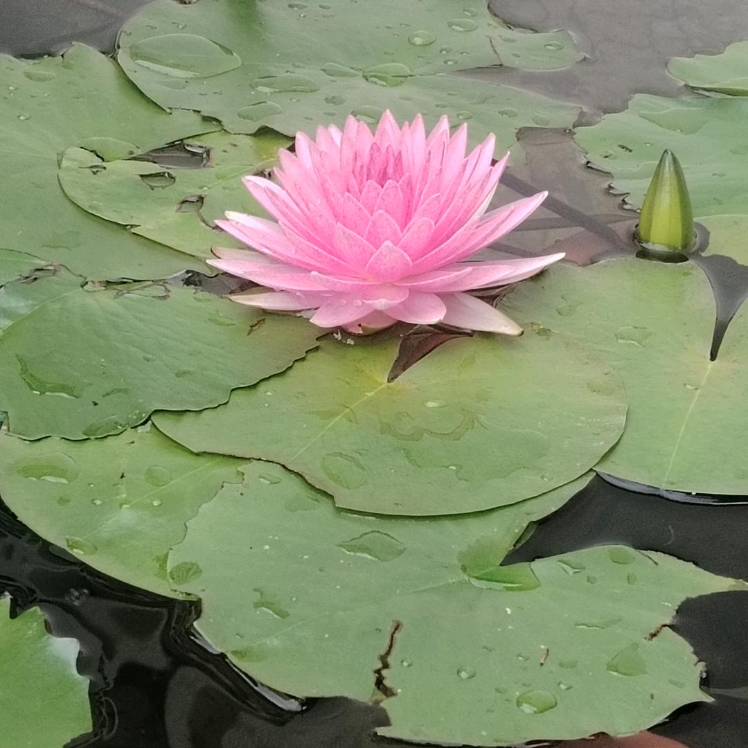 💂💤钟鸣谷应💂💤