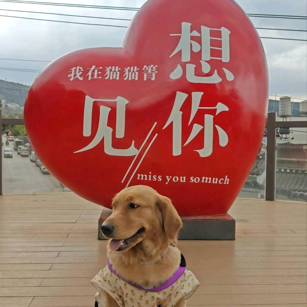 浪里个浪᭄🤪᭄🤪᭄