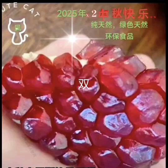 美食探险家1