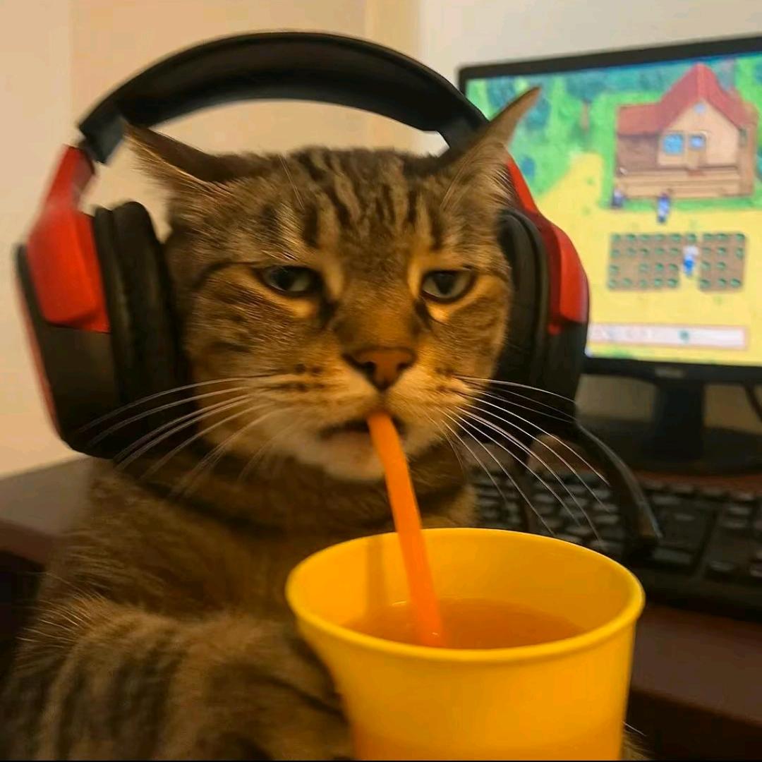 小邓带你去看中山好房