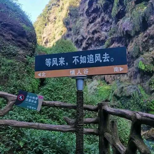 爱～意随风起！