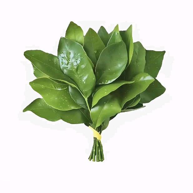 七七【装修代卖】