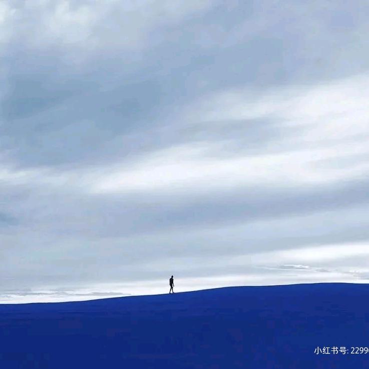 行歌(酒嘉玉门回收鉴定)