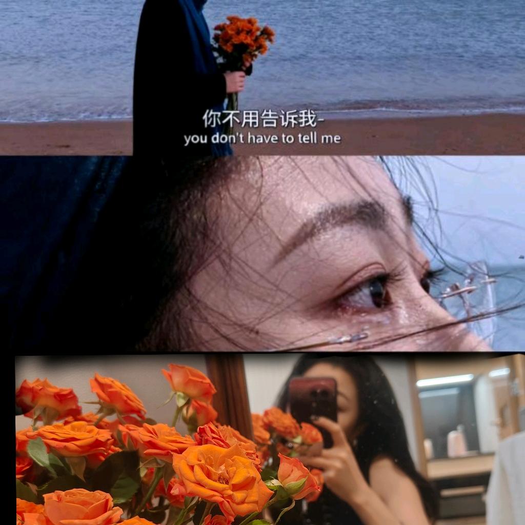 潦🌱掌柜da
