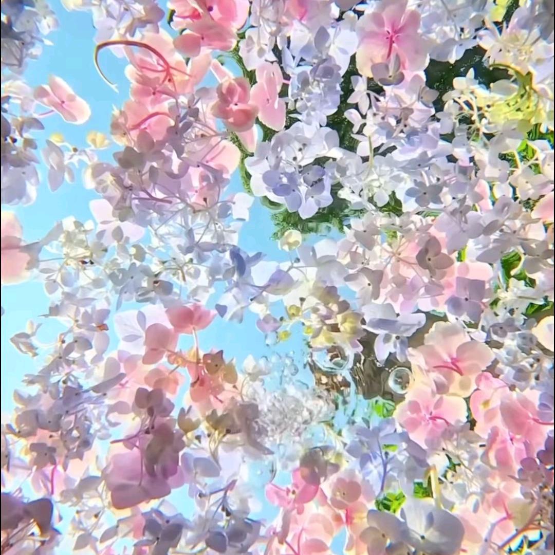 想见你