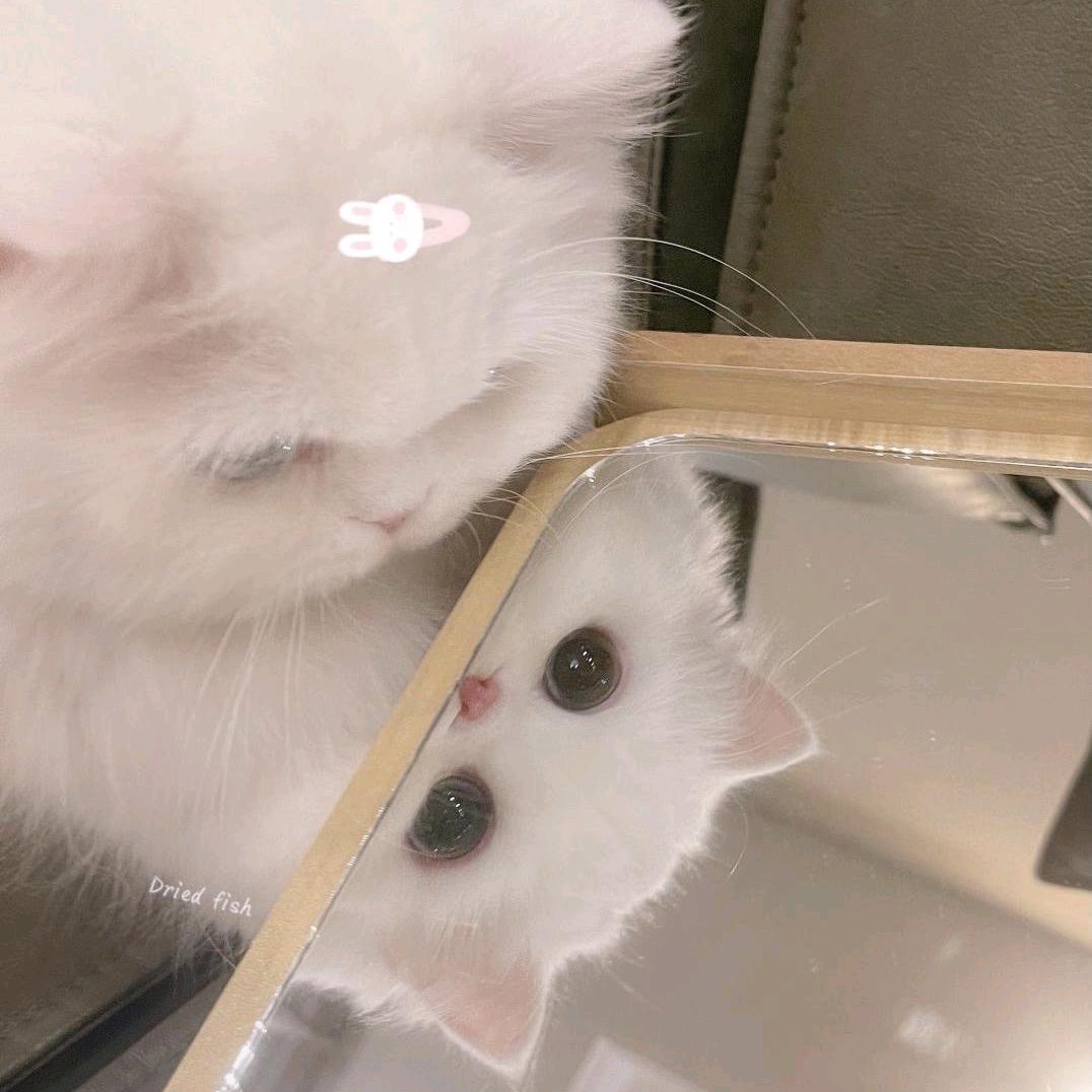 ^_^^_^^_^^_^^_^