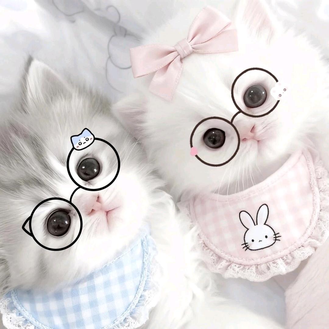 小宝