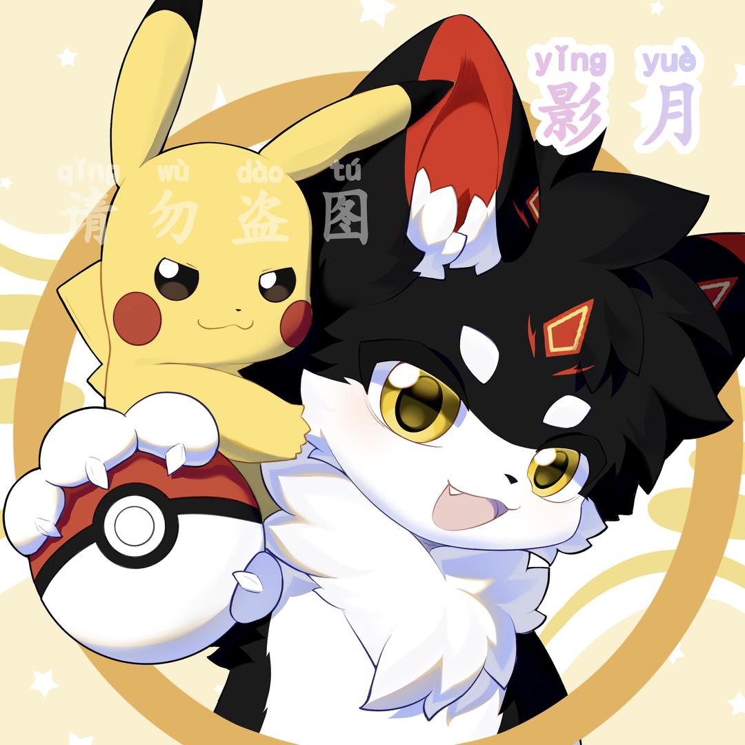 影月不爱吃鱼🐾