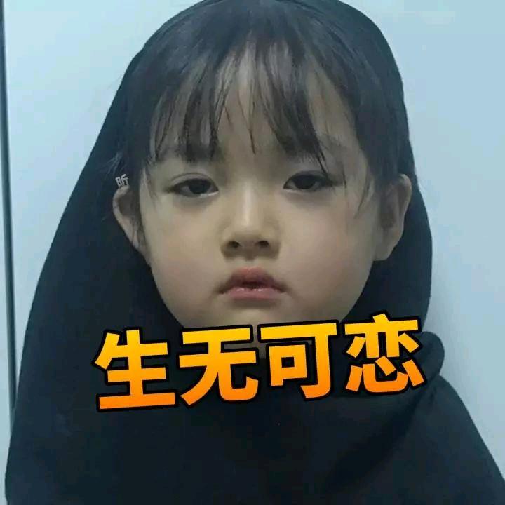喵喵拳。