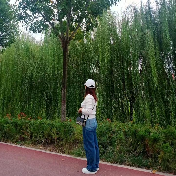 避风港♡