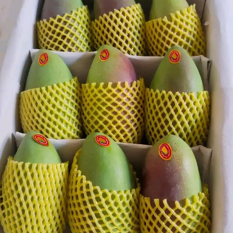 晴宝一站式百货严选