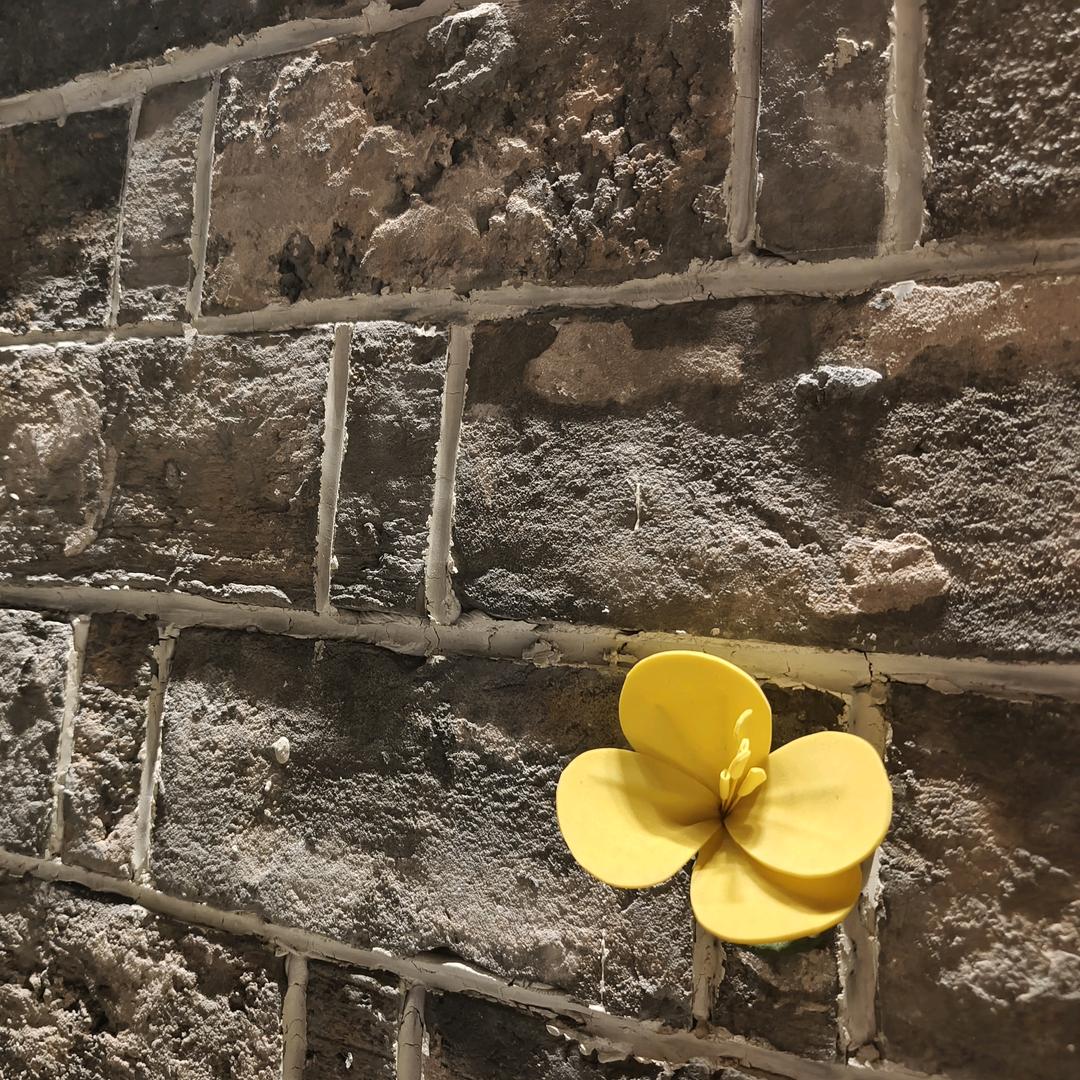 柠檬水十分甜🍋