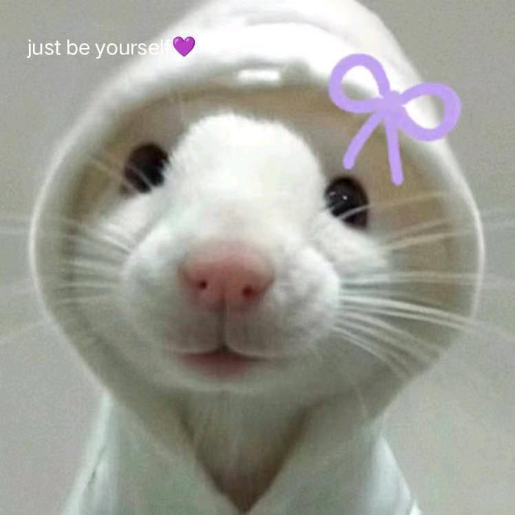 ₍ᐢ. ֑ .ᐢ₎