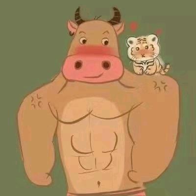 牛头梗牛牛教练