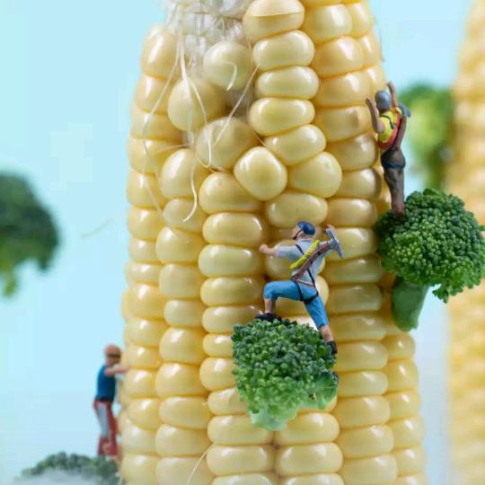 微笑面对余生………！！