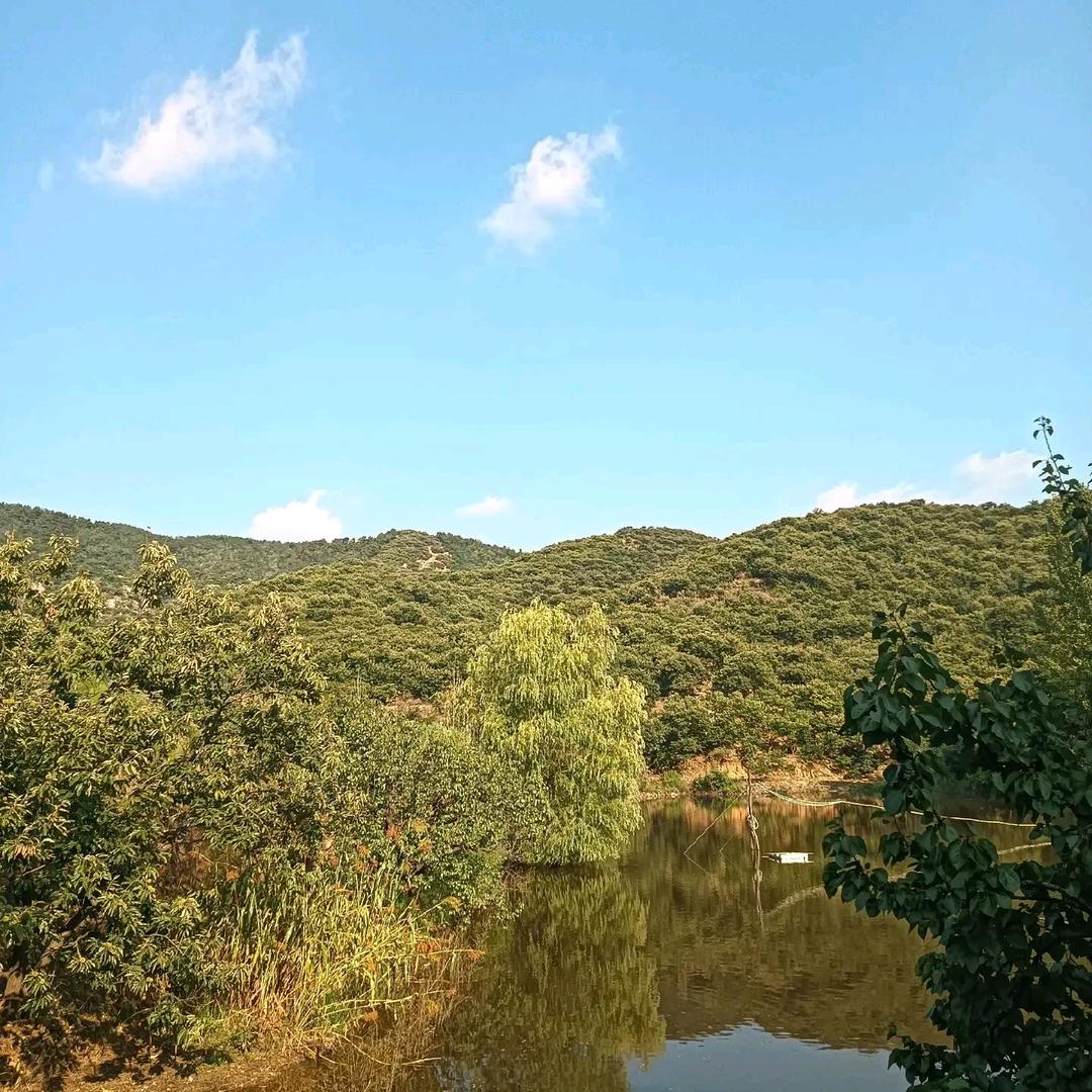 🐏🐰yy太阳的味道