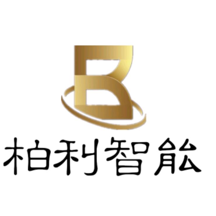 柏利智能张辉