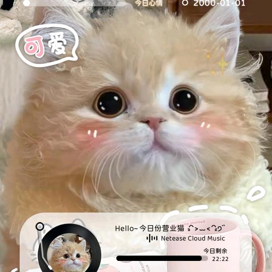 ‧͙⁺˚*･༓☾ 𝐌𝐢𝐝𝐧𝐢?