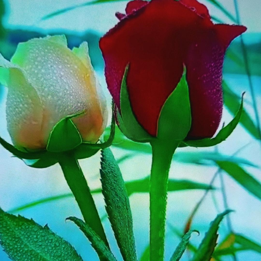 ♥余╭(╯生ε╰)╮安☆然♥