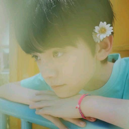 昂，蝶栖恒野💙💜