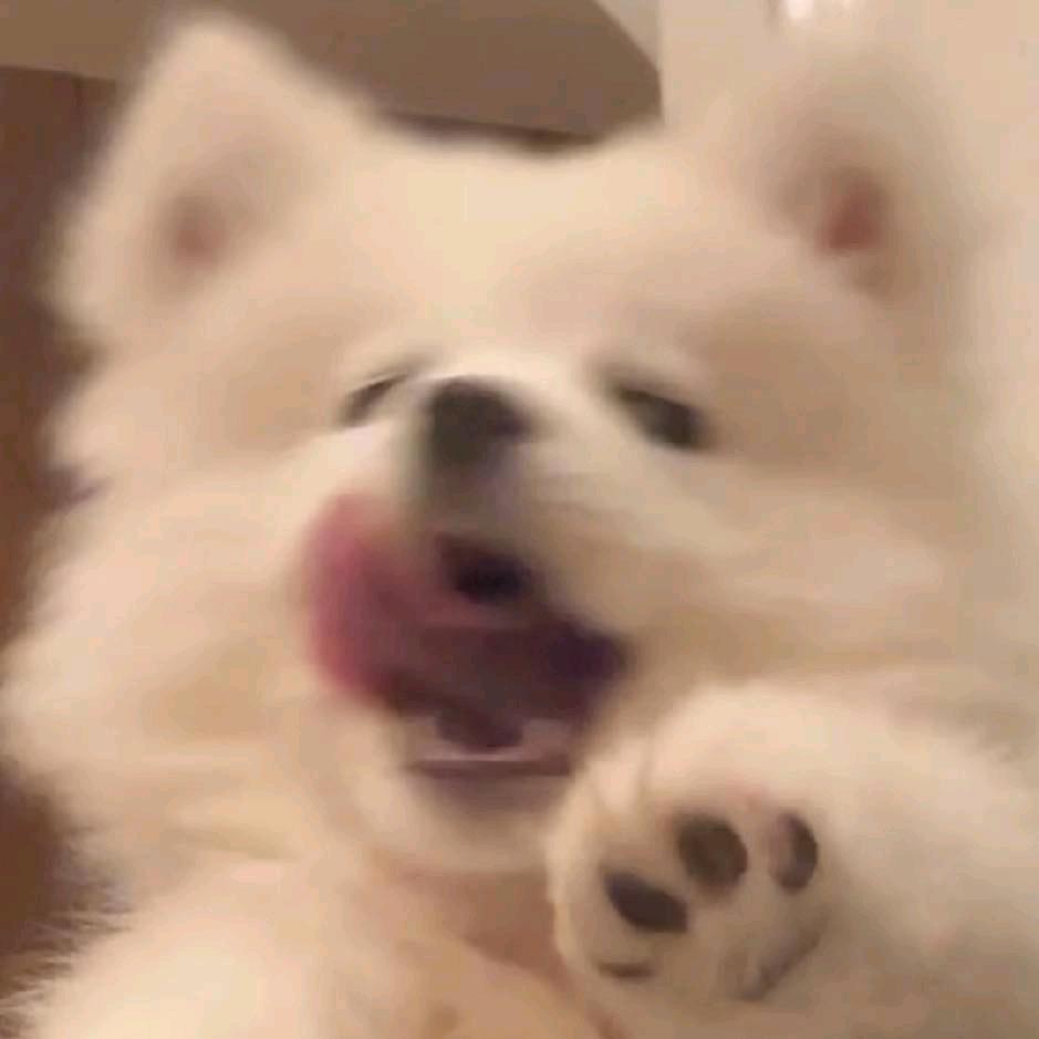 乐安安