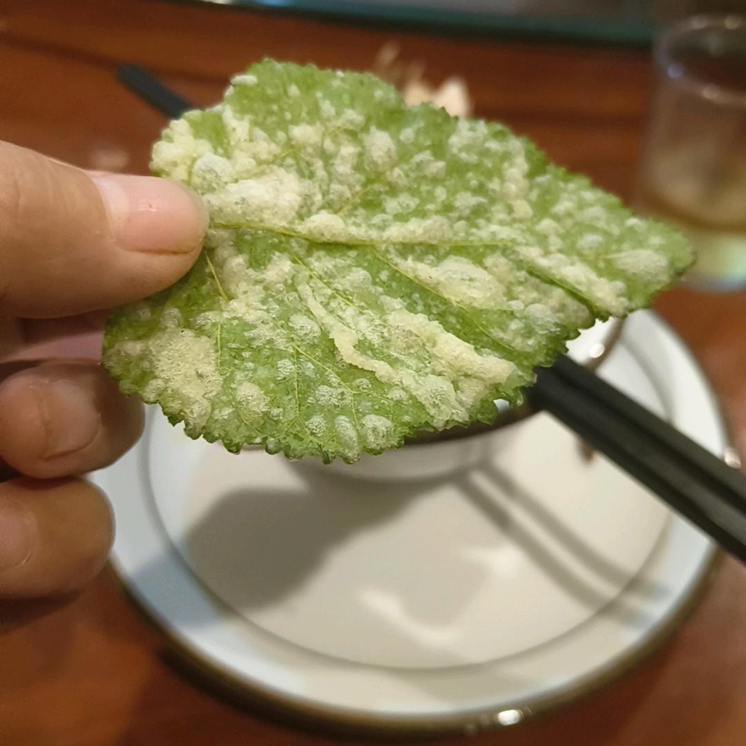 满目星何