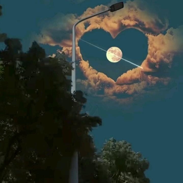 薯条@爱$的旋律