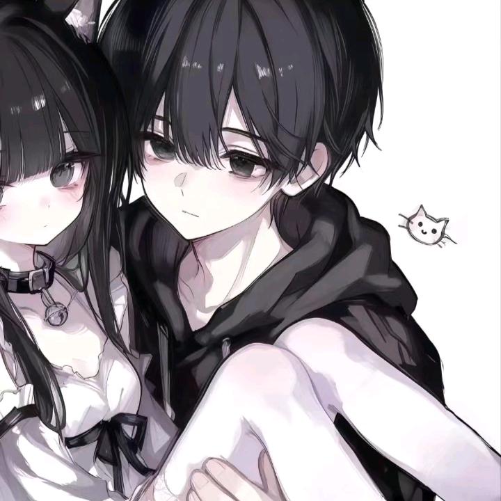 鲨鱼