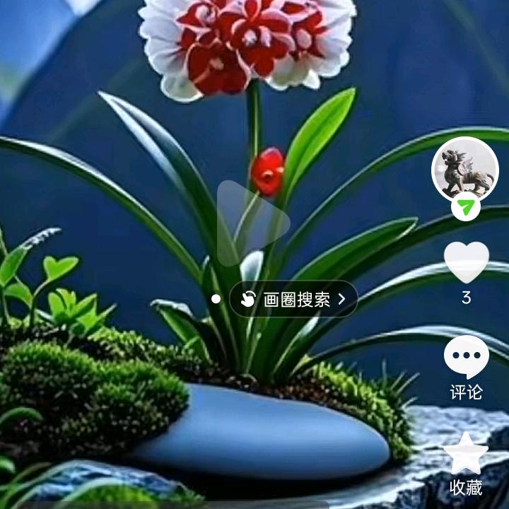 武松