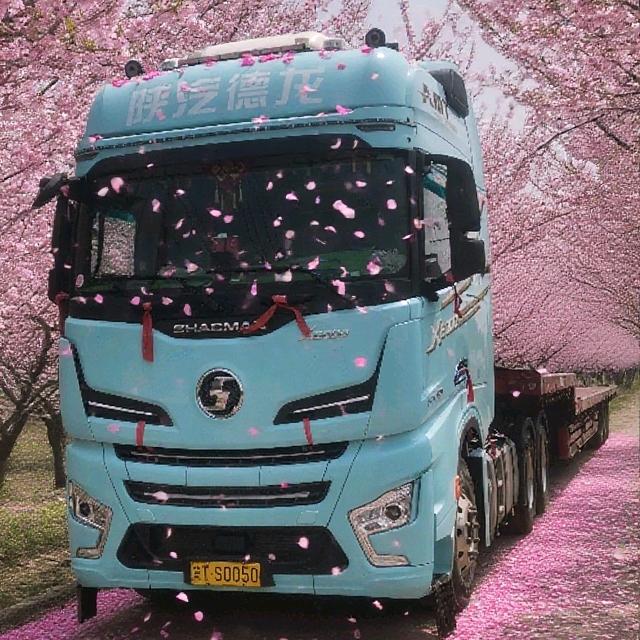 @太阳照在元安河上