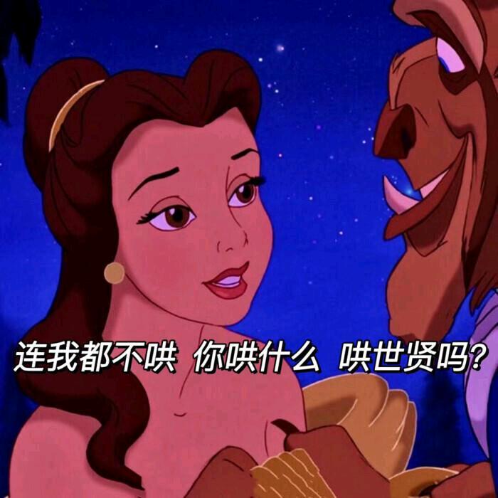 爆火的四九